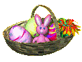 Purplebunny